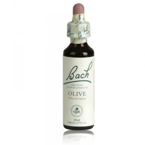 fleur de bach OLIVE