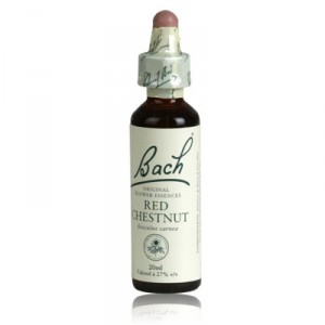 fleur de bach RED CHESTNUT