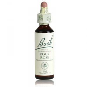 fleur de bach ROCK ROSE