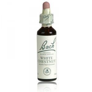 fleur de bach WHITE CHESTNUT n°35